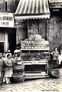2288- Alger - Coquillages Maison Capomaccio